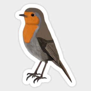 Robin Bird Watching Birding Ornithologist Gift Sticker